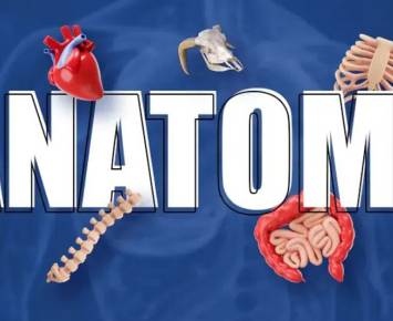 Biology (Grades 9 to 12)